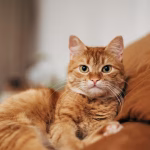 1_GettyImages-2194895813.jpg