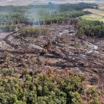 1_Holme-Fen-wildfire.jpg