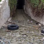 1_MEXICO-ENVIRONMENT-POLLUTION-WATER.jpg